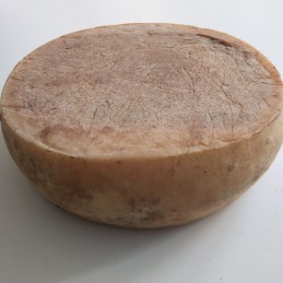 TOMA D'ALPEGGIO DELLA VAL...