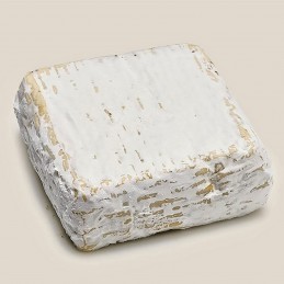 QUADRA' DI CAPRA