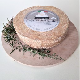 PECORINO DELLE LANGHE