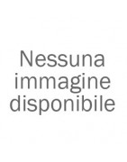 Primi piatti