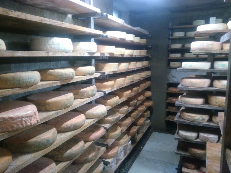 Azienda Agricola Cascina Montefino
