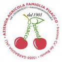 PISACCO